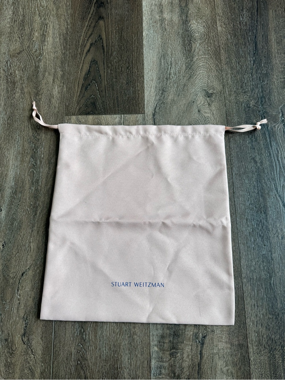 Stuart Weitzman Light Pink Drawstring Shoe Bag